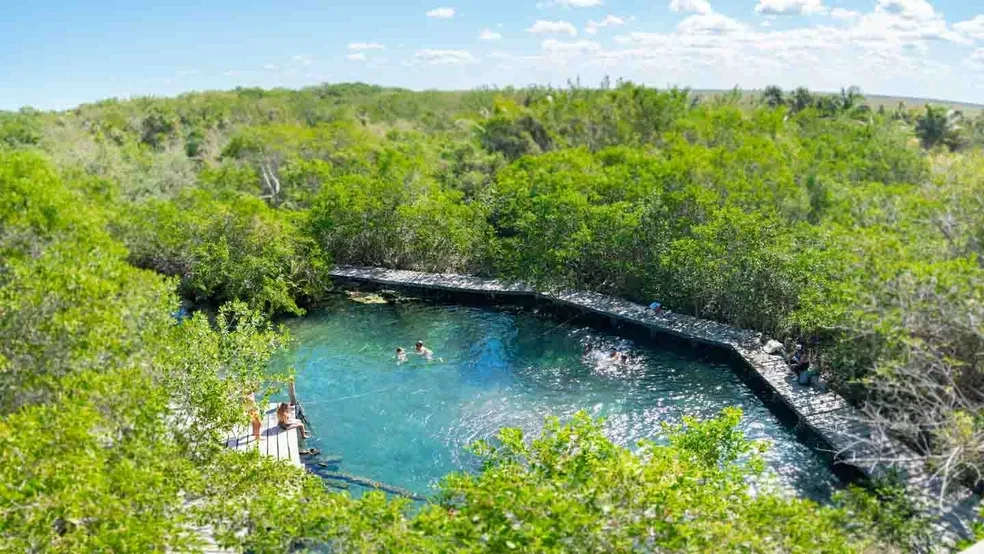 Aerial view of the Yalahau cenote surrounded by lush green jungle on Holbox Island