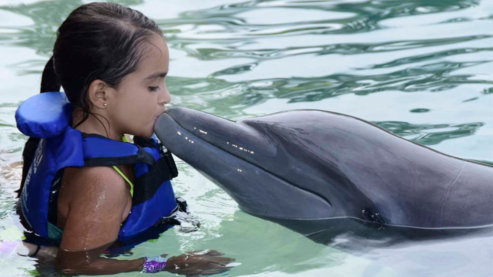 Young girl in a life jacket getting a kiss from a dolphin in the turquoise waters of Cancún