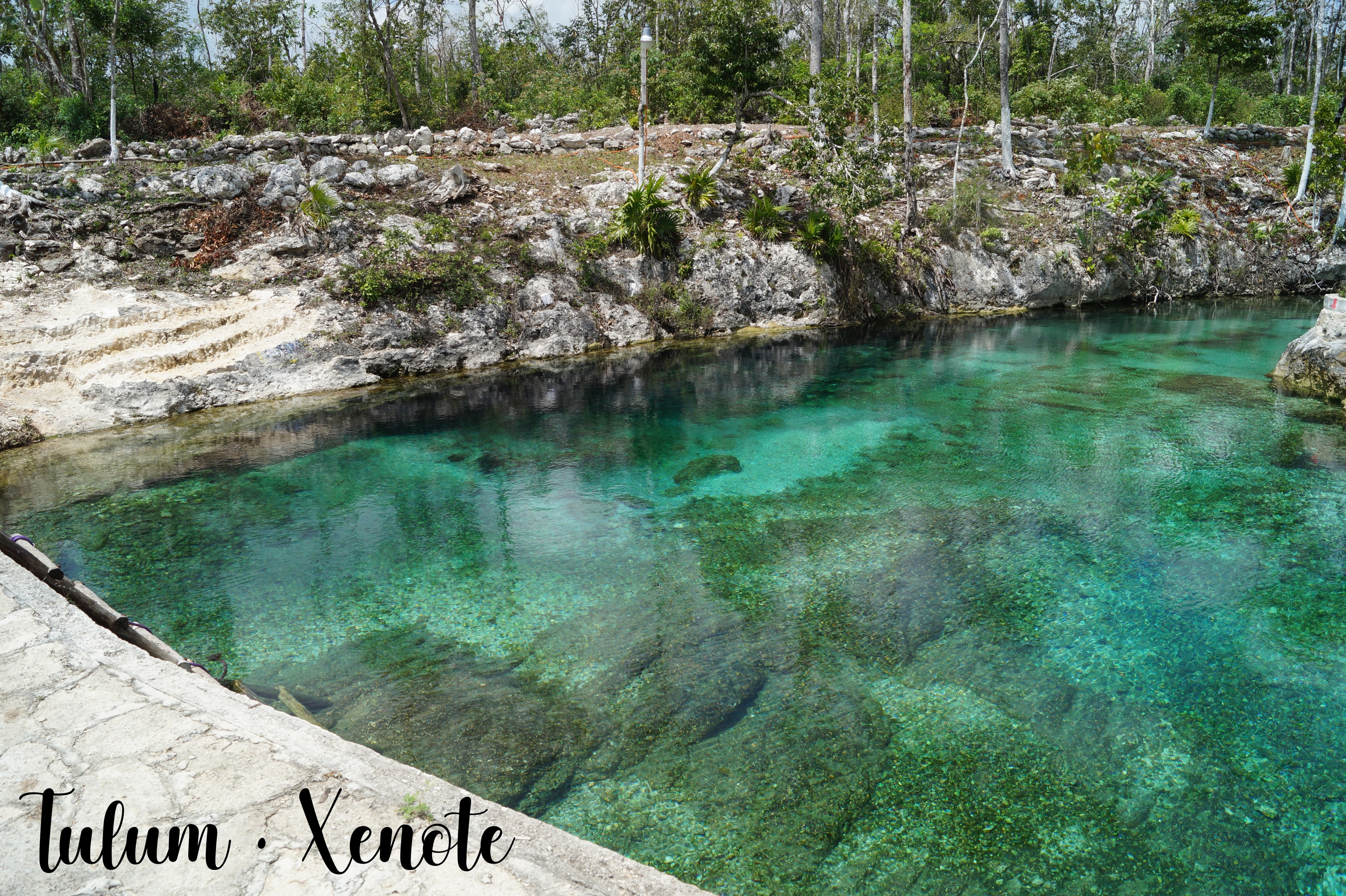 Crystal-clear emerald waters of the Tulum Xenote cenote