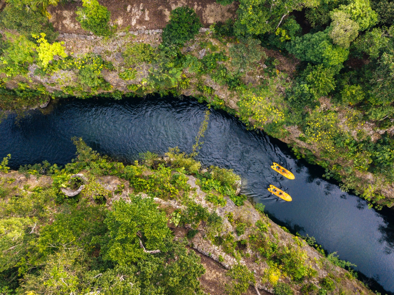 Aerial view of two yellow kayaks paddling through a narrow jungle cenote canyon at Xenotes Oasis Maya