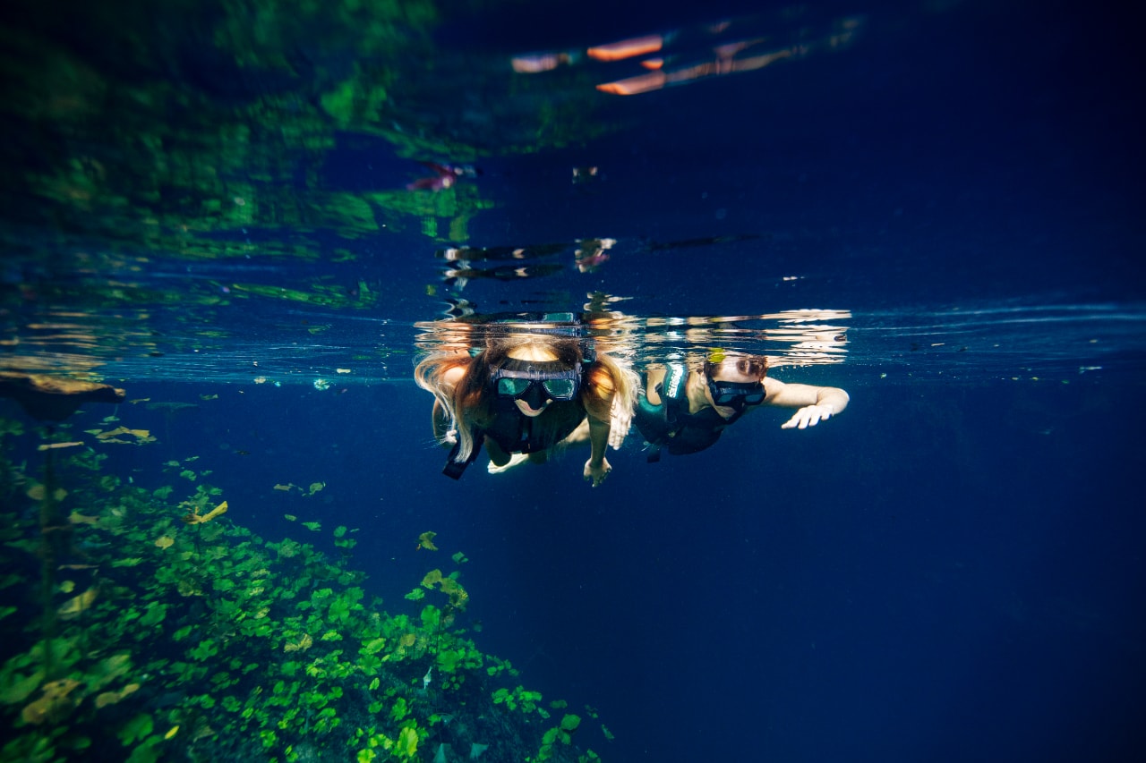 Two snorkelers diving underwater in a crystal-clear blue cenote with aquatic plants at Xenotes Oasis Maya